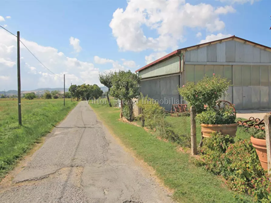 Immagine 24 di Casa bifamiliare in vendita  in via traversa valdichiana est a Torrita Di Siena