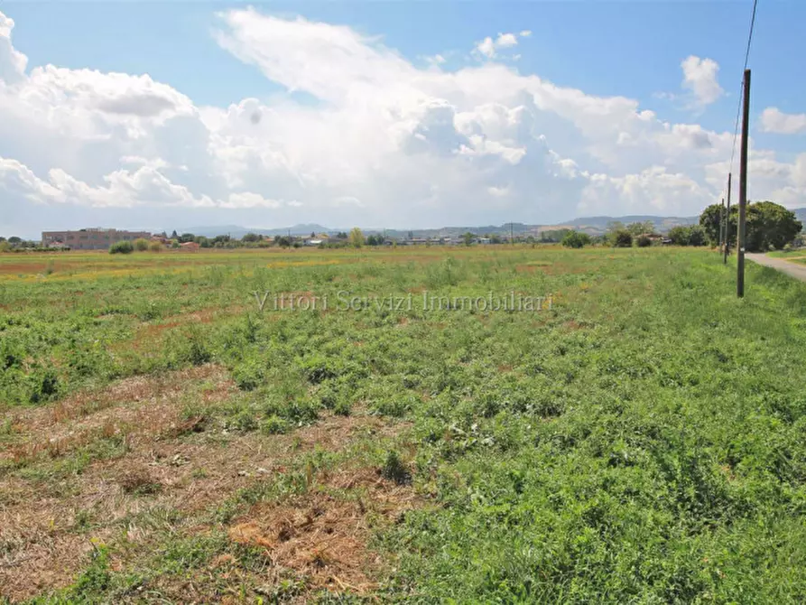 Immagine 28 di Casa bifamiliare in vendita  in via traversa valdichiana est a Torrita Di Siena