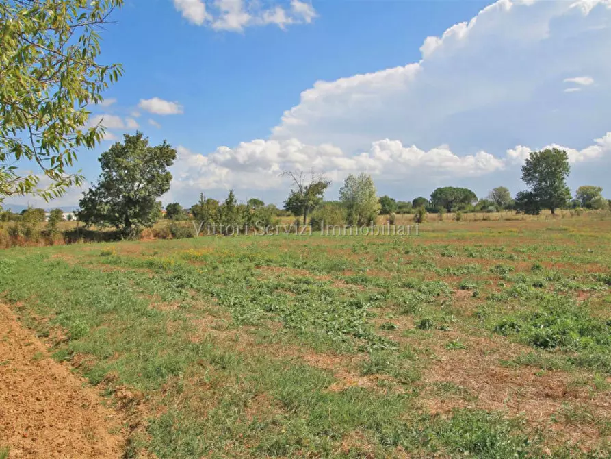 Immagine 29 di Casa bifamiliare in vendita  in via traversa valdichiana est a Torrita Di Siena