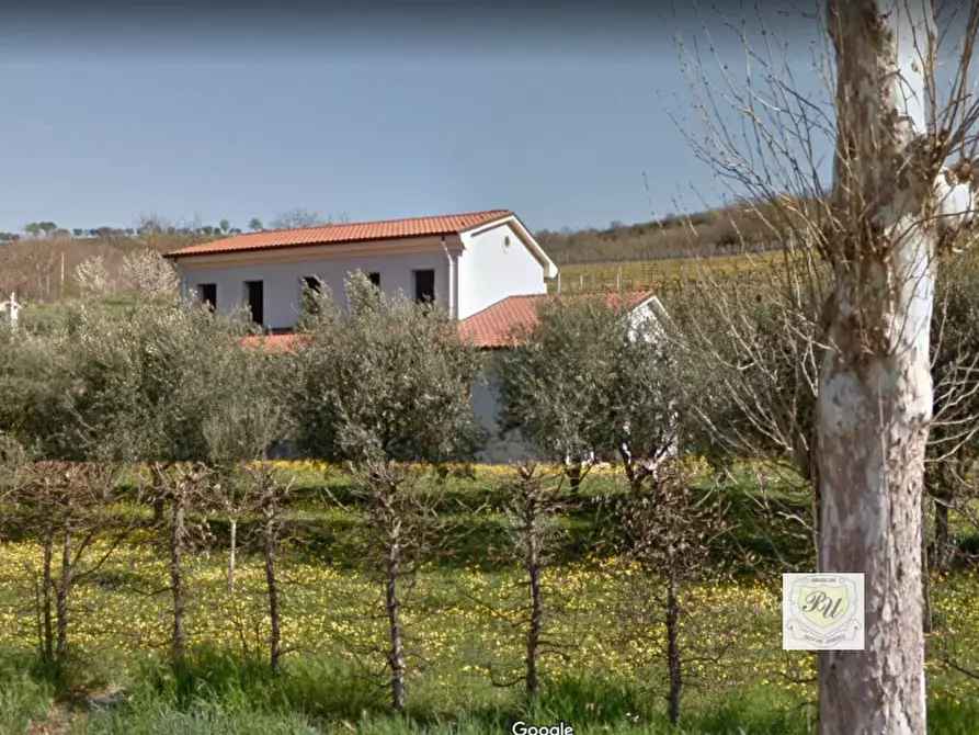 Immagine 9 di Casa indipendente in vendita  in via bagno a Cinto Euganeo