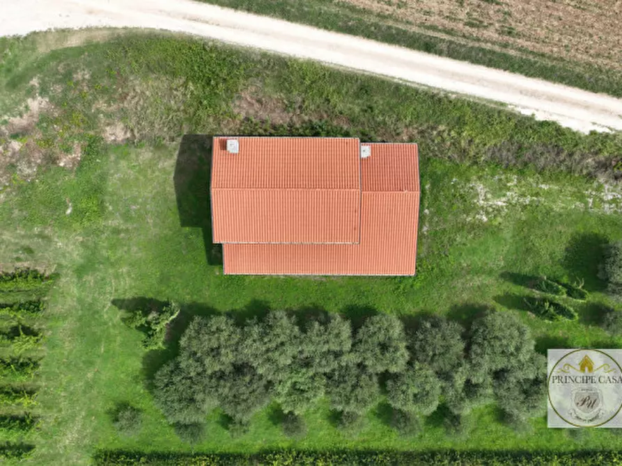 Immagine 11 di Casa indipendente in vendita  in via bagno a Cinto Euganeo