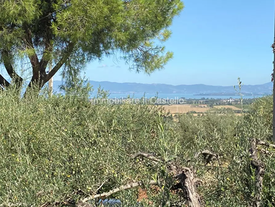 Immagine 1 di Terreno in vendita  a Panicale