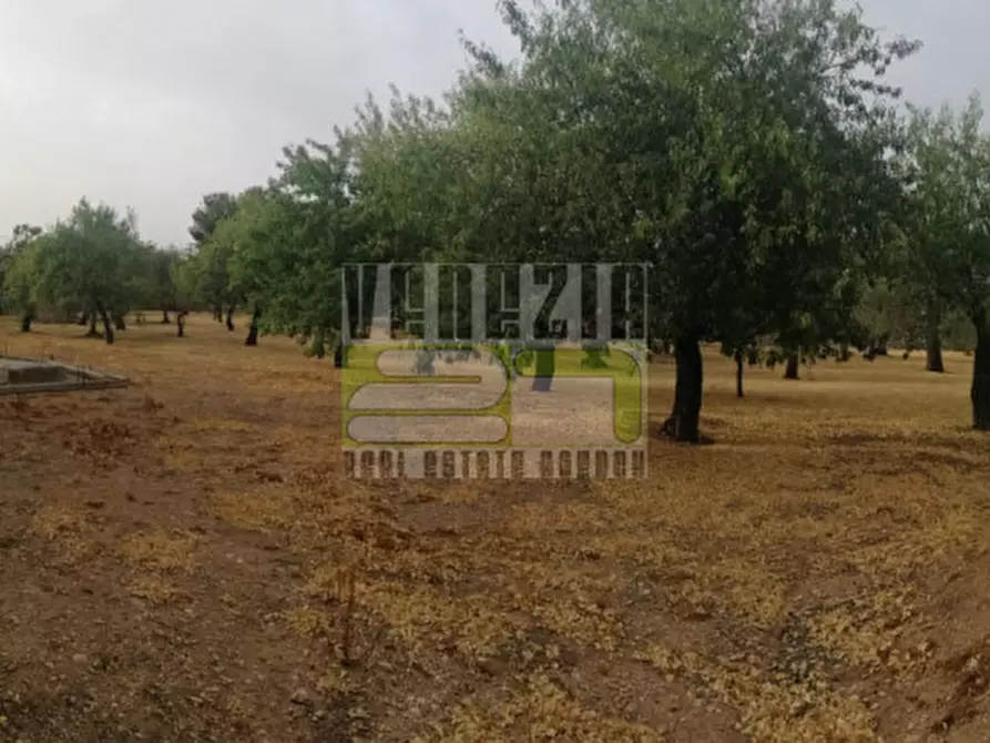 Immagine 23 di Villa in vendita  in contrada Risicone a Avola