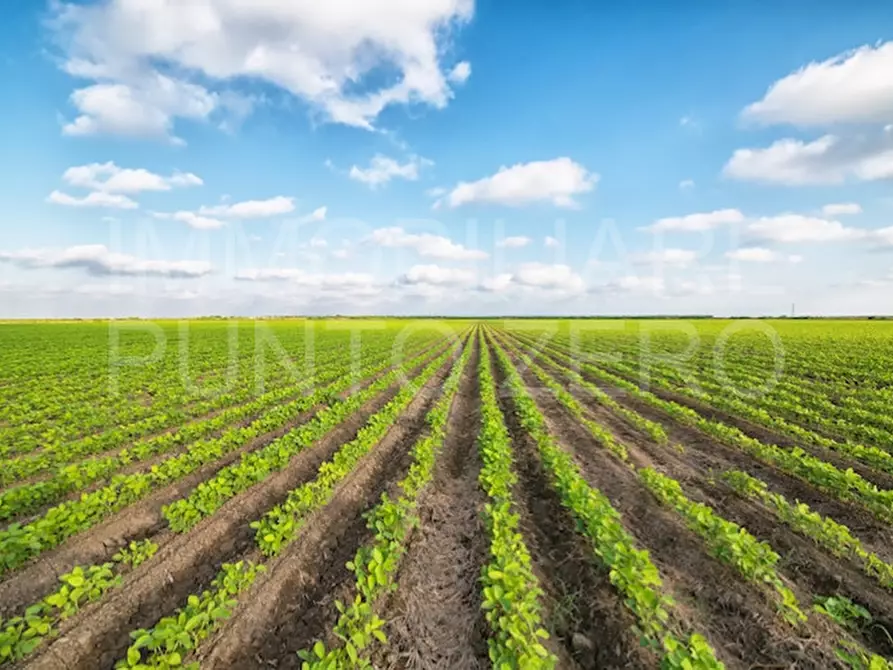 Immagine 2 di Terreno in vendita  in Piazza Antonio Gramsci a Sala Baganza
