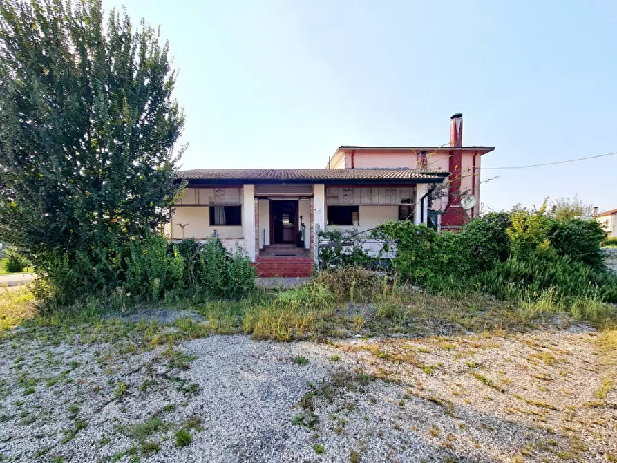 Immagine 3 di Agriturismo in vendita  in VIA POSTALE VECCHIA EST a Borgo Veneto