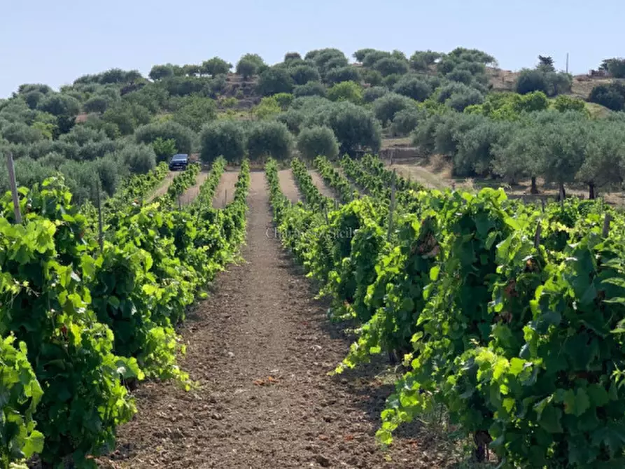 Immagine 1 di Terreno in vendita  in Contrada Belliscala a Noto