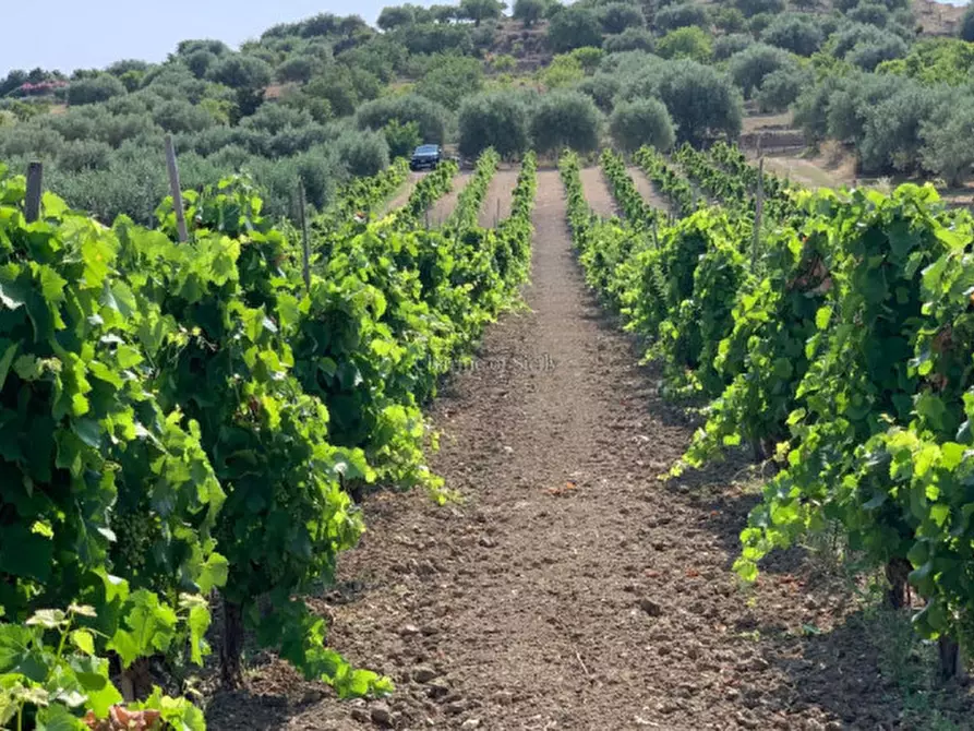Immagine 3 di Terreno in vendita  in Contrada Belliscala a Noto