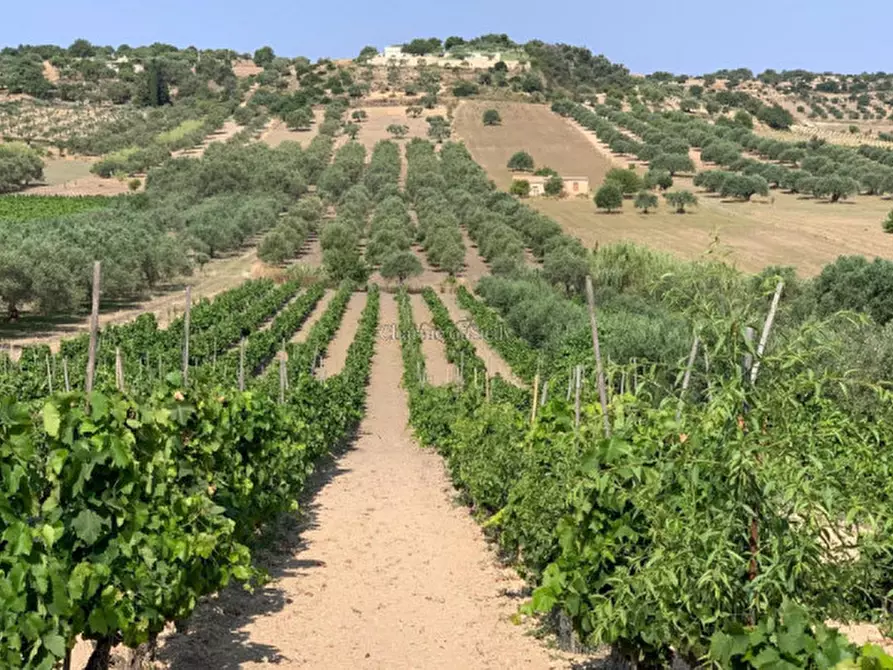 Immagine 5 di Terreno in vendita  in Contrada Belliscala a Noto