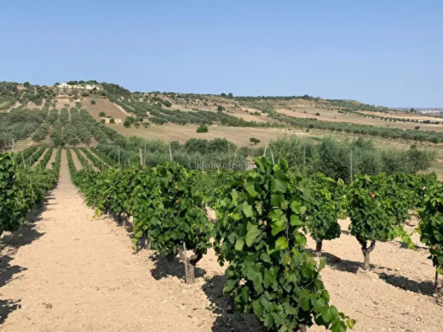 Immagine 6 di Terreno in vendita  in Contrada Belliscala a Noto