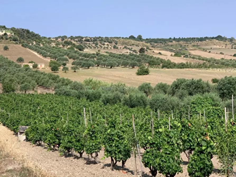 Immagine 7 di Terreno in vendita  in Contrada Belliscala a Noto