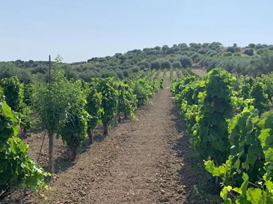 Immagine 8 di Terreno in vendita  in Contrada Belliscala a Noto
