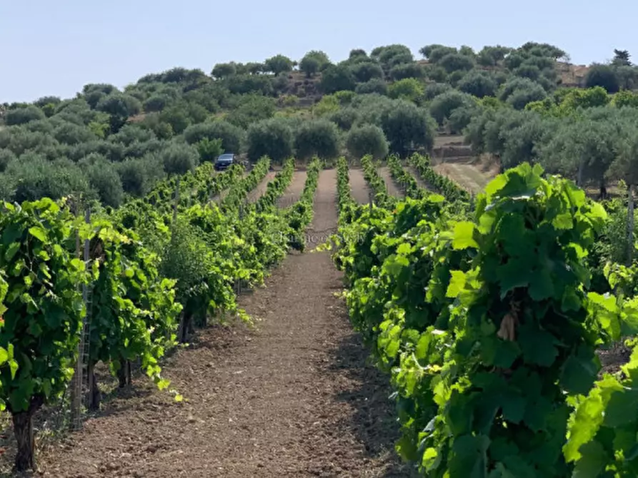 Immagine 9 di Terreno in vendita  in Contrada Belliscala a Noto