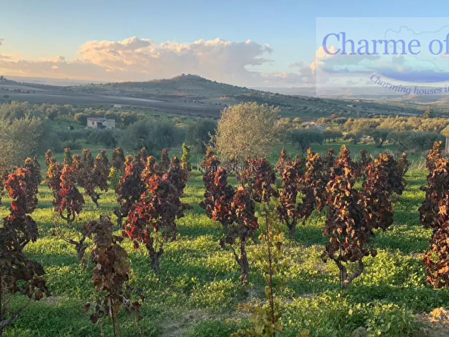 Immagine 10 di Terreno in vendita  in Contrada Belliscala a Noto