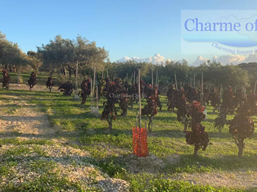 Immagine 13 di Terreno in vendita  in Contrada Belliscala a Noto