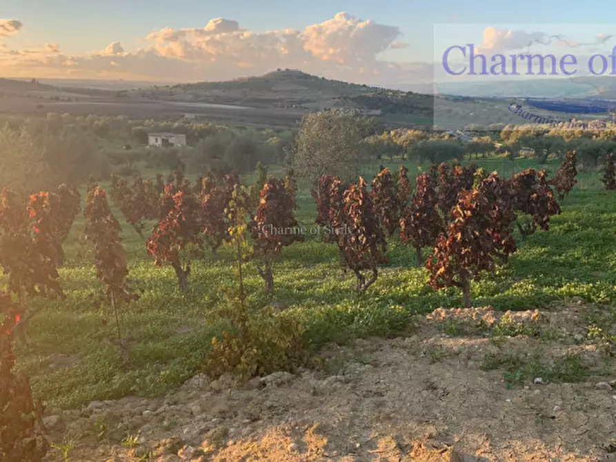 Immagine 14 di Terreno in vendita  in Contrada Belliscala a Noto