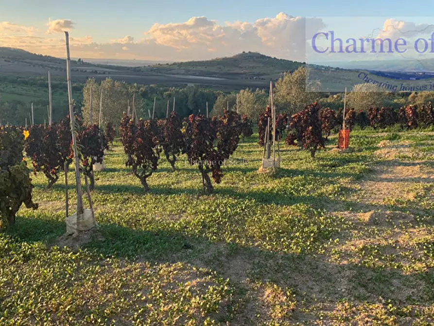 Immagine 15 di Terreno in vendita  in Contrada Belliscala a Noto