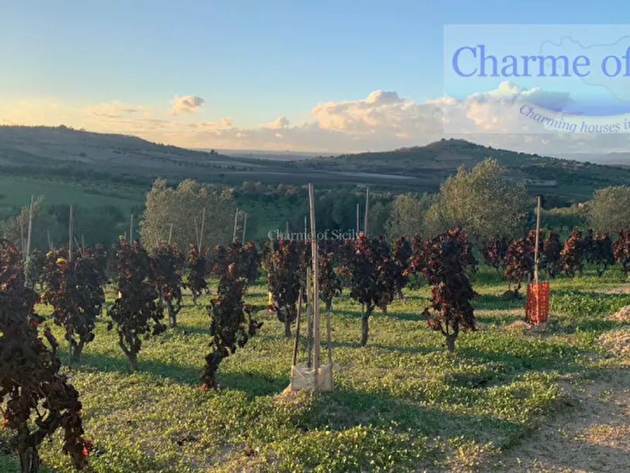 Immagine 16 di Terreno in vendita  in Contrada Belliscala a Noto