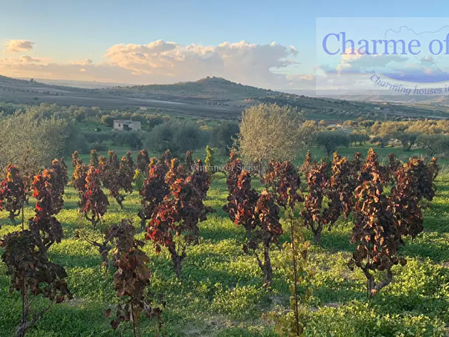 Immagine 17 di Terreno in vendita  in Contrada Belliscala a Noto