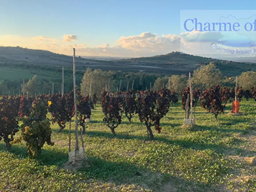 Immagine 18 di Terreno in vendita  in Contrada Belliscala a Noto