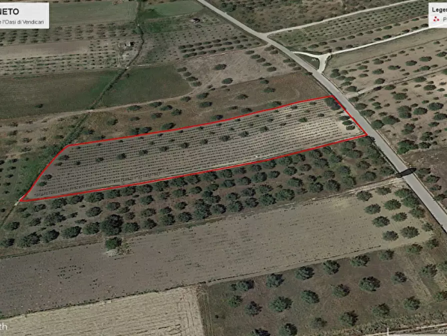 Immagine 21 di Terreno in vendita  in Contrada Belliscala a Noto