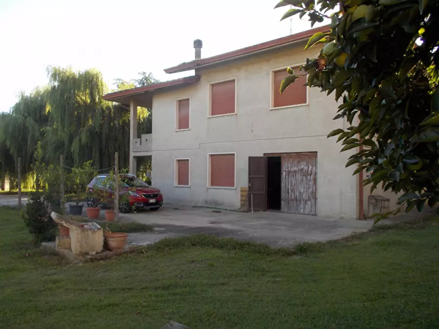 Immagine 24 di Casa indipendente in vendita  in Via Cavour a Terrazzo