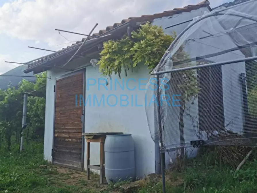 Immagine 4 di Terreno in vendita  a Caltrano