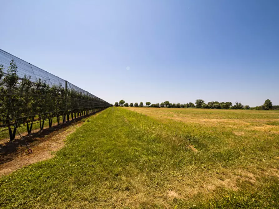 Immagine 2 di Terreno in vendita  in VIA LUNGO ARGINE a Rovigo