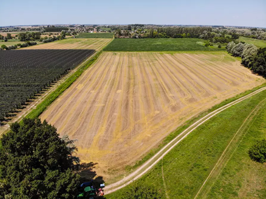 Immagine 3 di Terreno in vendita  in VIA LUNGO ARGINE a Rovigo