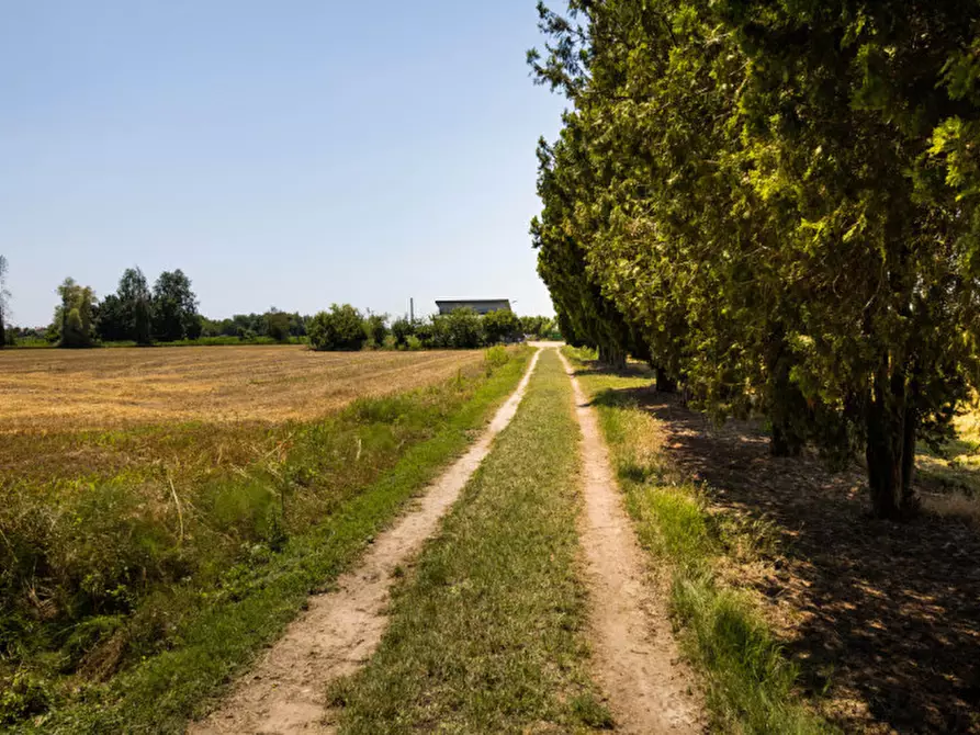 Immagine 5 di Terreno in vendita  in VIA LUNGO ARGINE a Rovigo