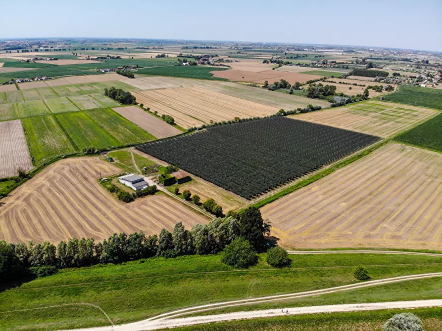 Immagine 6 di Terreno in vendita  in VIA LUNGO ARGINE a Rovigo
