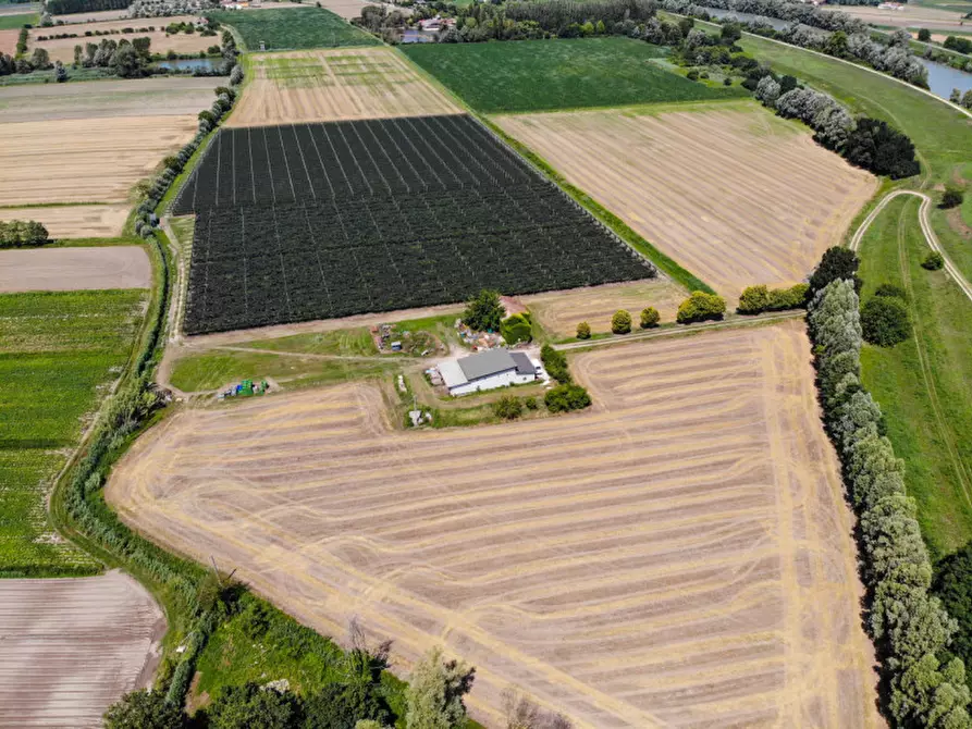Immagine 9 di Terreno in vendita  in VIA LUNGO ARGINE a Rovigo