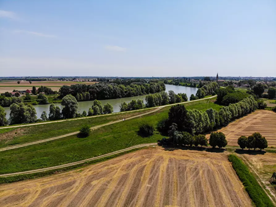 Immagine 10 di Terreno in vendita  in VIA LUNGO ARGINE a Rovigo