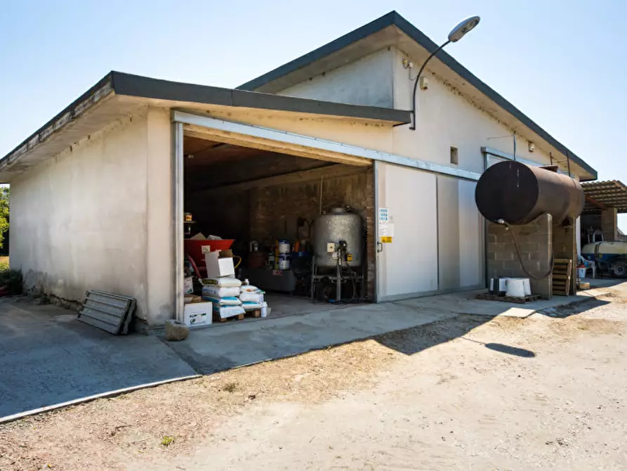 Immagine 11 di Terreno in vendita  in VIA LUNGO ARGINE a Rovigo