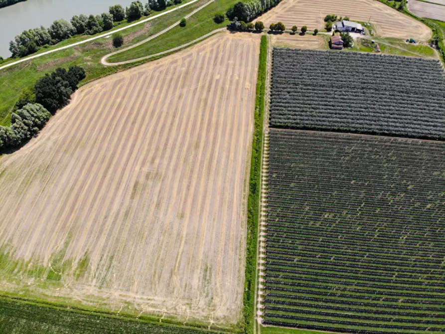 Immagine 12 di Terreno in vendita  in VIA LUNGO ARGINE a Rovigo