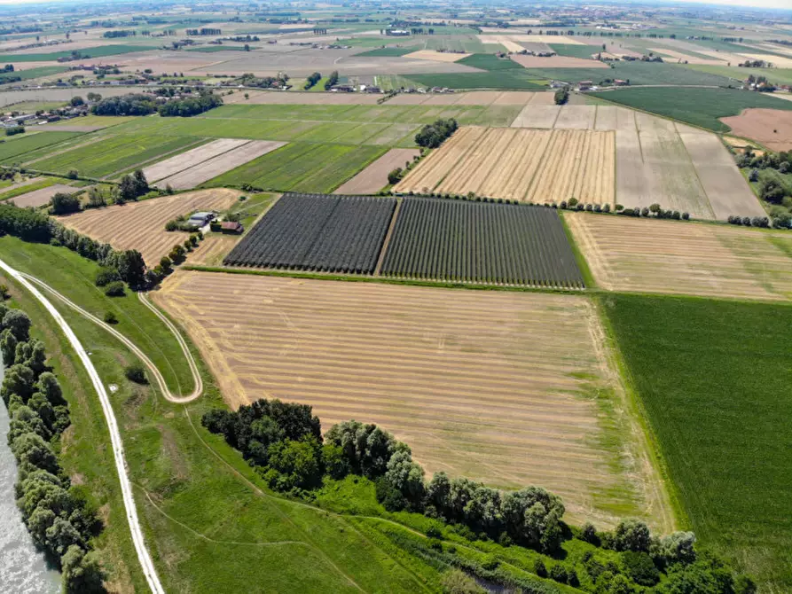 Immagine 13 di Terreno in vendita  in VIA LUNGO ARGINE a Rovigo