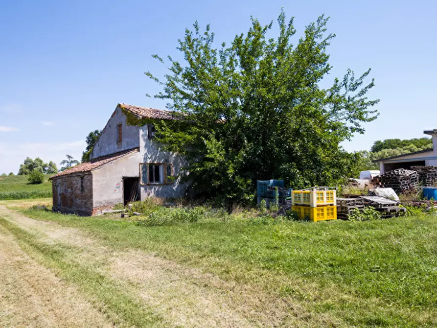 Immagine 14 di Terreno in vendita  in VIA LUNGO ARGINE a Rovigo