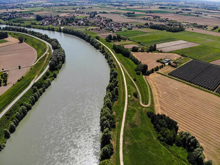 Immagine 15 di Terreno in vendita  in VIA LUNGO ARGINE a Rovigo