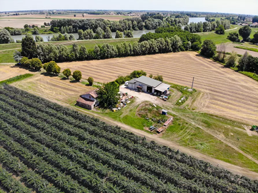 Immagine 17 di Terreno in vendita  in VIA LUNGO ARGINE a Rovigo