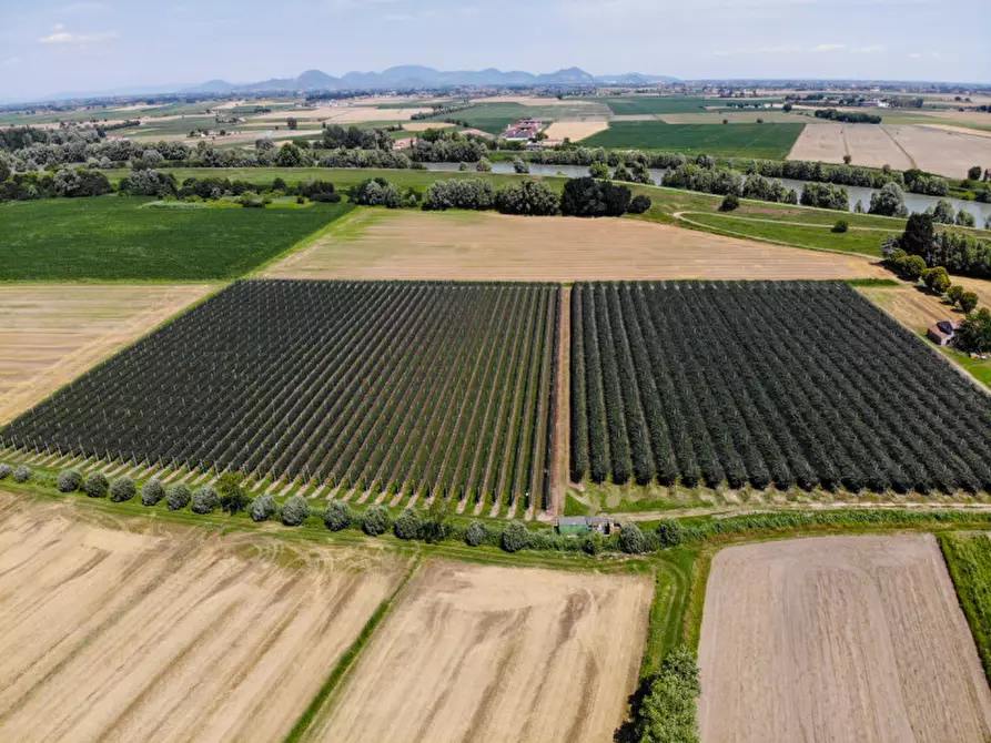 Immagine 18 di Terreno in vendita  in VIA LUNGO ARGINE a Rovigo