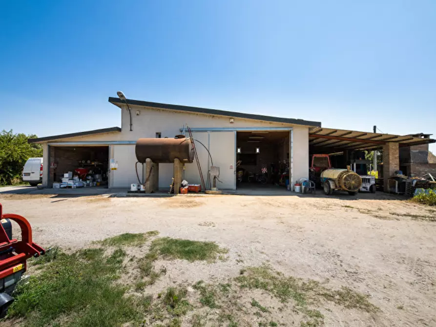 Immagine 19 di Terreno in vendita  in VIA LUNGO ARGINE a Rovigo