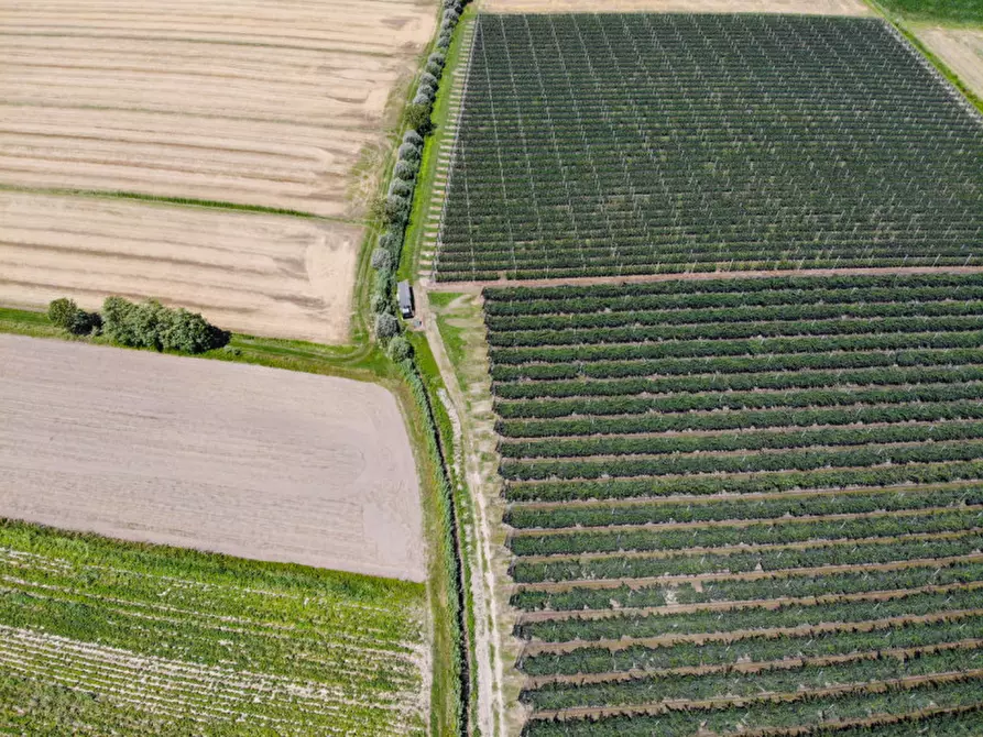 Immagine 24 di Terreno in vendita  in VIA LUNGO ARGINE a Rovigo