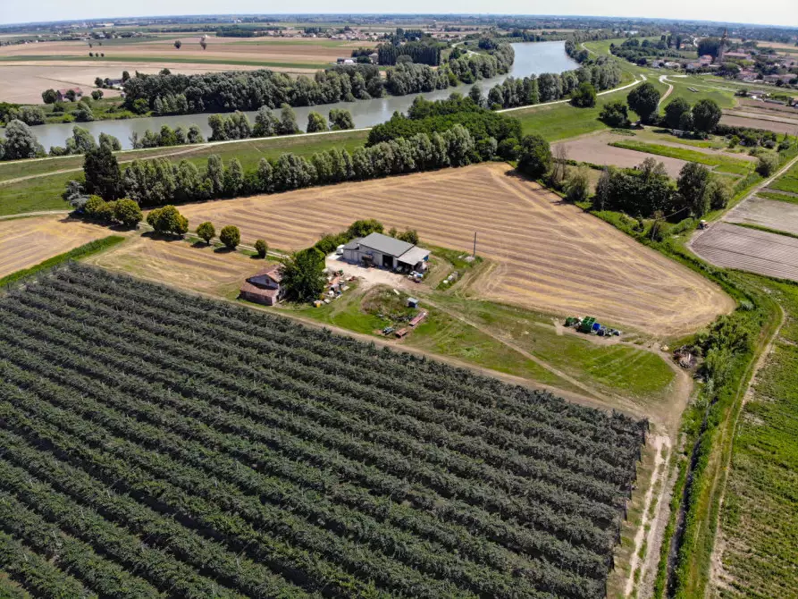 Immagine 25 di Terreno in vendita  in VIA LUNGO ARGINE a Rovigo