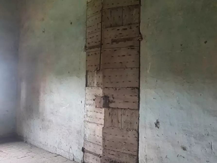 Immagine 3 di Rustico / casale in vendita  a Padova