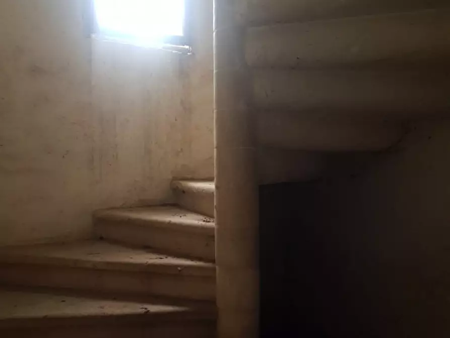 Immagine 10 di Rustico / casale in vendita  a Padova