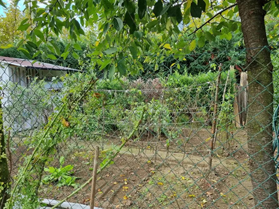 Immagine 26 di Villa in vendita  in Via Cavour a Ospedaletto Euganeo