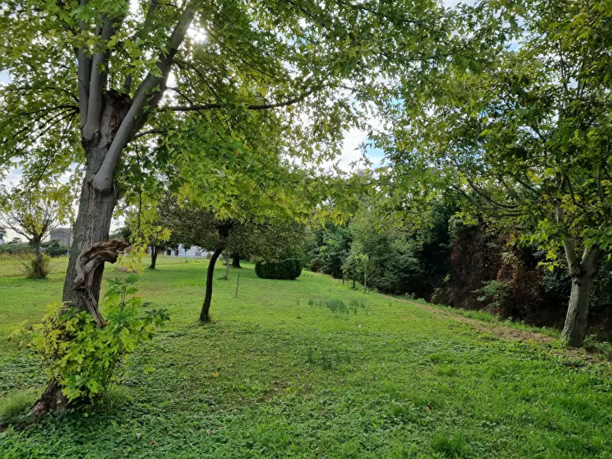 Immagine 27 di Villa in vendita  in Via Cavour a Ospedaletto Euganeo