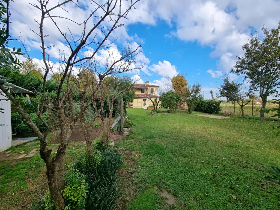 Immagine 28 di Villa in vendita  in Via Cavour a Ospedaletto Euganeo