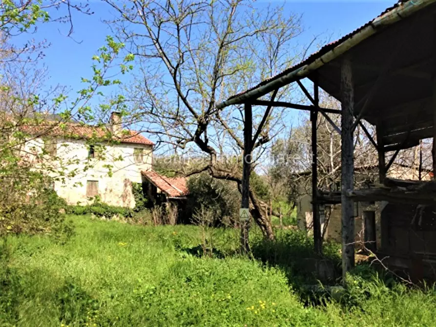Immagine 1 di Rustico / casale in vendita  in Via Castagnarola a Baone