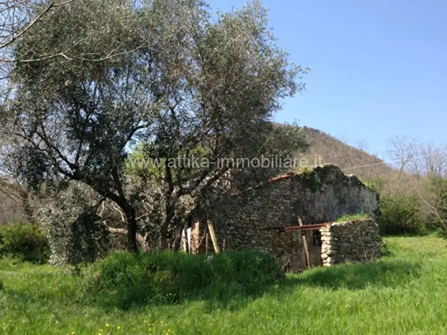 Immagine 2 di Rustico / casale in vendita  in Via Castagnarola a Baone