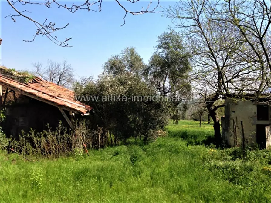 Immagine 3 di Rustico / casale in vendita  in Via Castagnarola a Baone